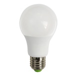 A60 bulb 12W